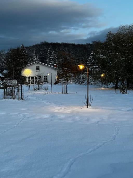 Landhaus „Blattgold“ Lohme Extérieur photo